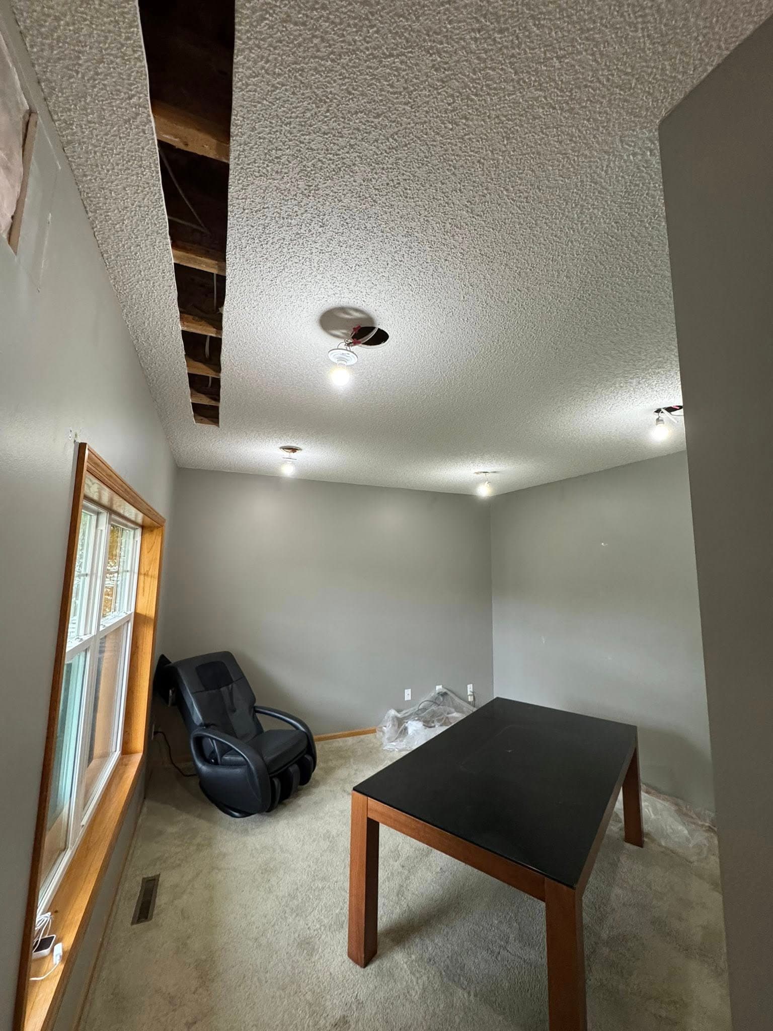 Gallery photos for Kitchen and Living Space Transformation in Lakeville MN: Image #4