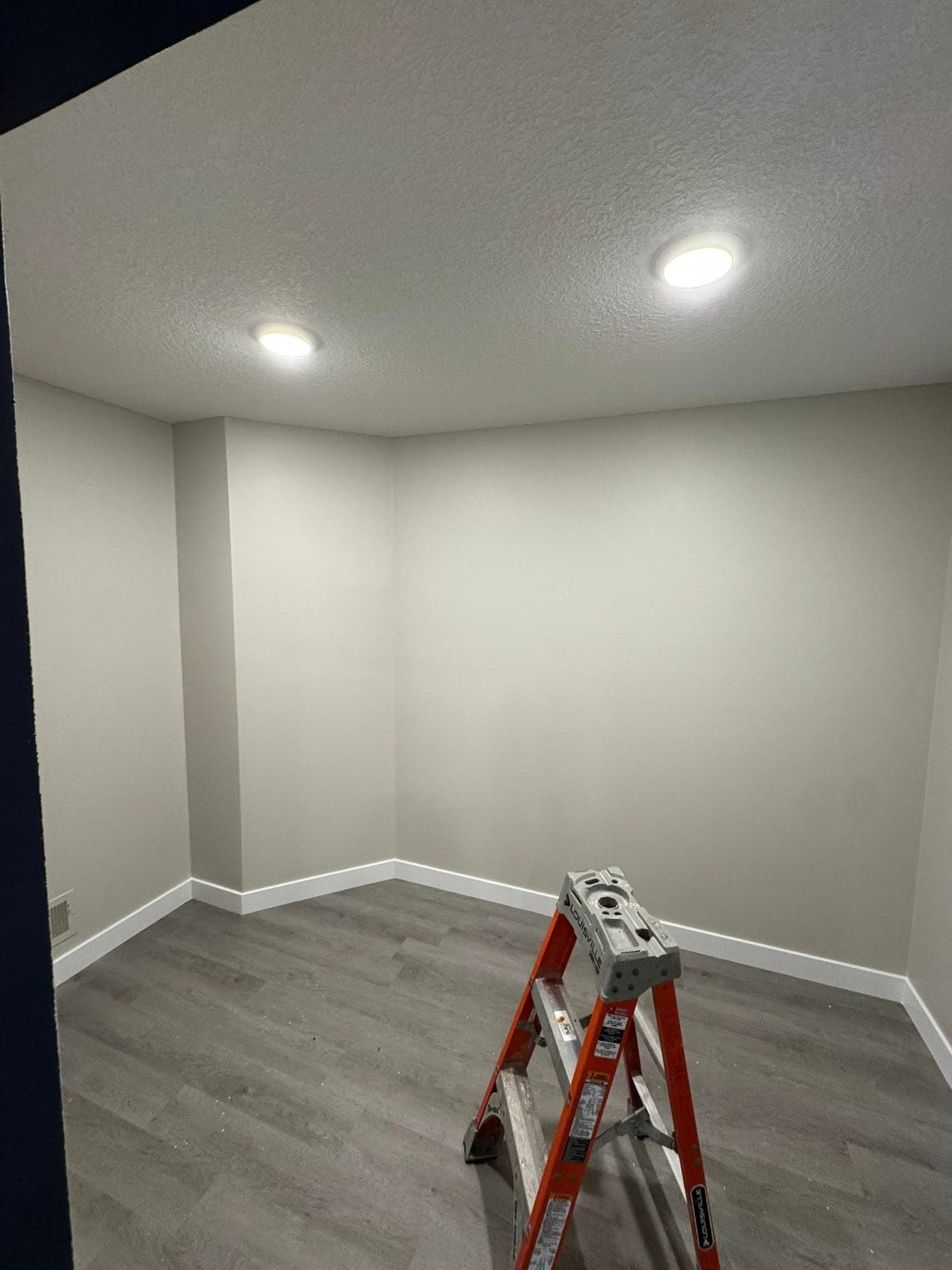 Basement Remodel in Belle Plaine image